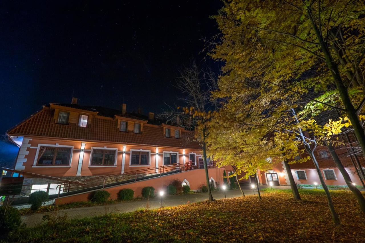 Hotel Dwor Ostoia à Rymanów Extérieur photo